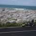 Burren