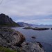 Reine