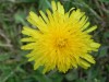 DSCN1268.JPG