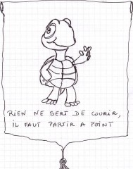 tortue_blason.JPG