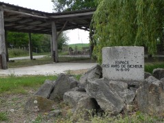 DSCN1233.JPG
