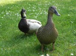 DSCN1257.JPG