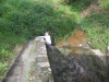 DSCN1241.JPG